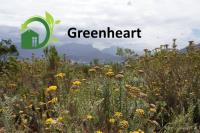 Greenheart Projects image 2